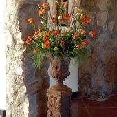 Die Blomstoor Photo Gallery