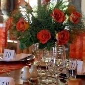 Die Blomstoor Photo Gallery